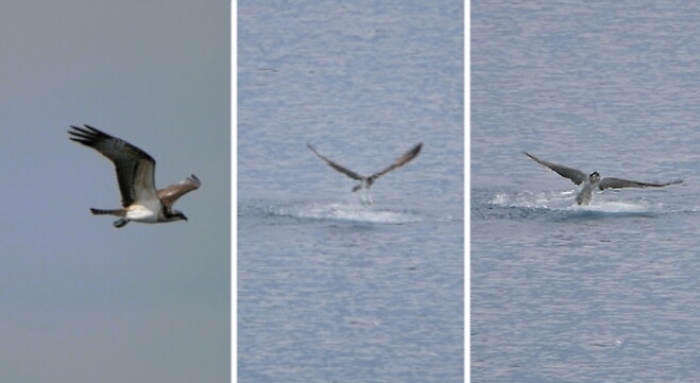 135705512-6cba39f7-1544-46d0-bbe4-aff7a8154977