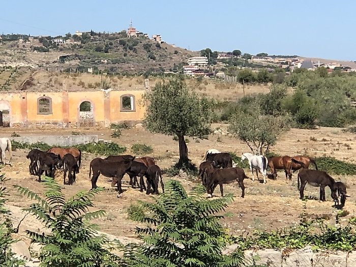 081132862-590ade66-e95c-41c8-9c83-de61de004178