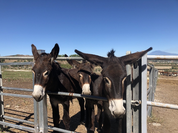 081217392-2d3c9987-d349-4a49-abae-6ce118632f8c