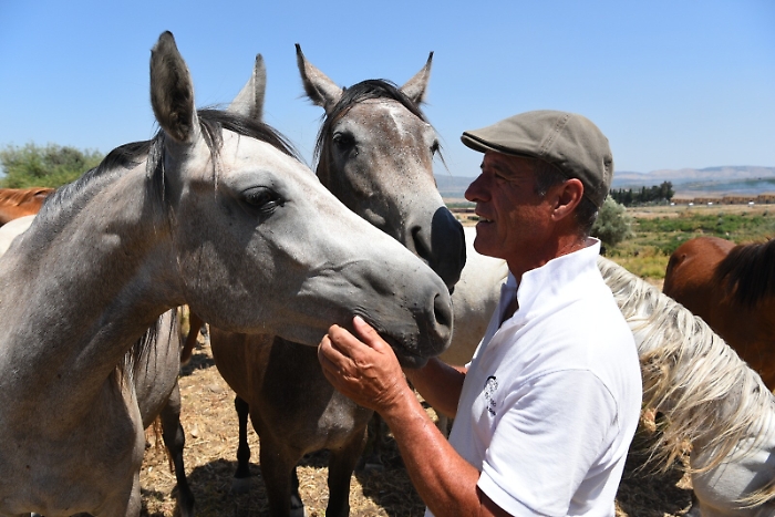 081253574-9ecfa94b-d102-4136-9e4c-b4797f94b8fa