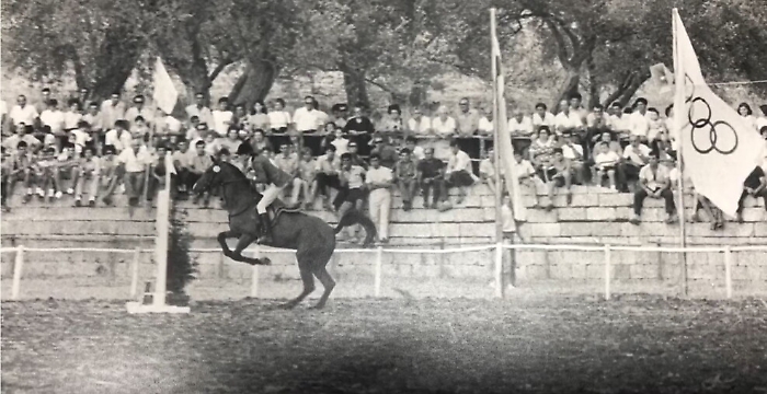 081445687-a09d8ffe-c41d-4bdf-a479-f41d8c42bbb5