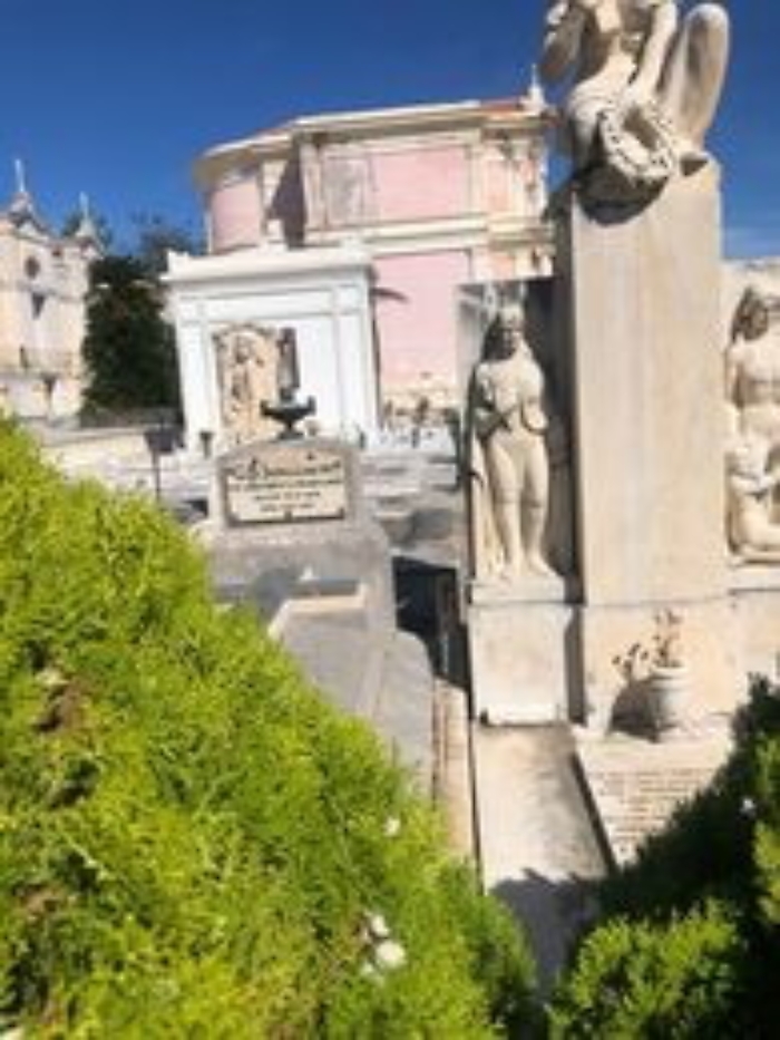 164701266-4e1a5210-0fc6-467f-9390-24169ce023a2