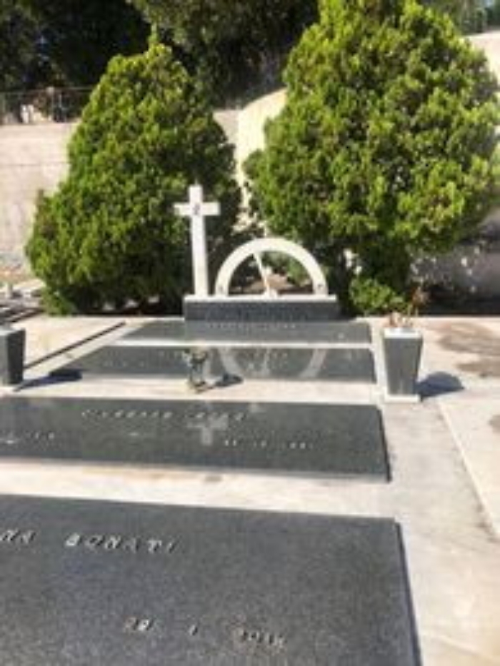 164712209-bd675cc4-d5df-4252-a314-bb4f69c360fe