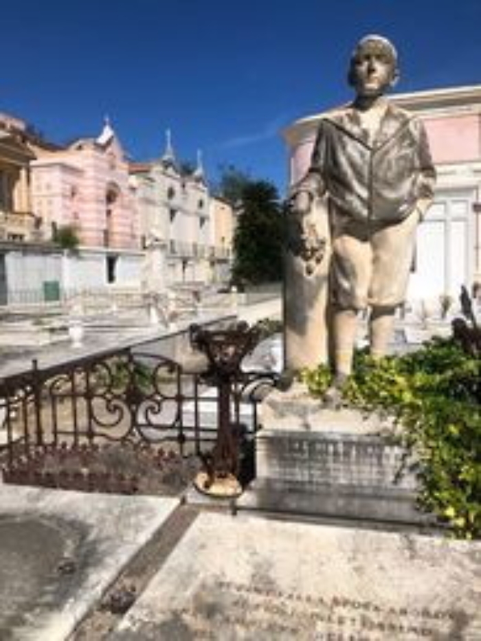 164723805-84ce5551-2b56-4b6f-9fd2-da7d50ab114b