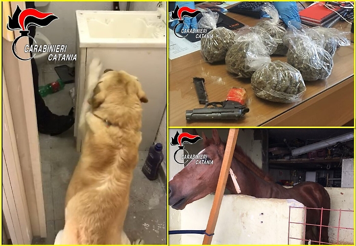 074730381-ea8b50e1-8fd6-4588-9f9a-11e3ad08fc19