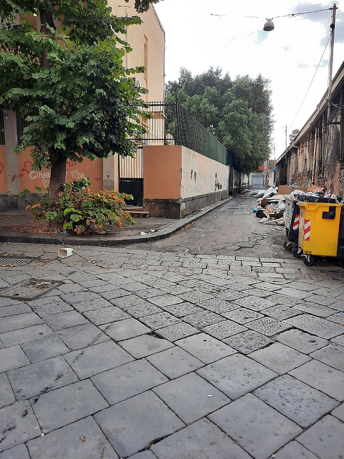 092904714-fc1c3a0a-c7b2-4442-87fb-498a7eaf054f