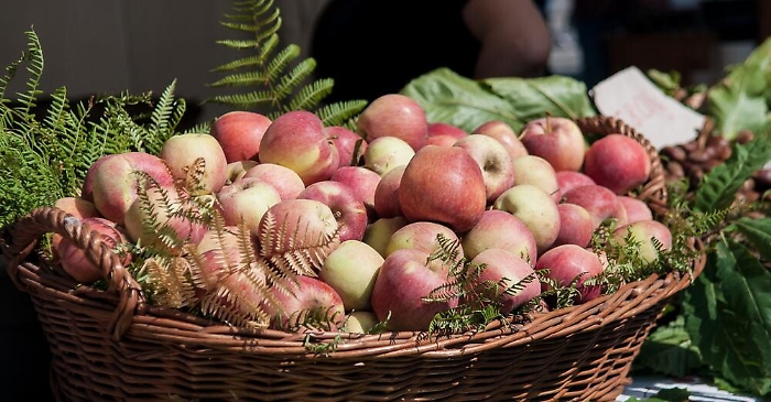 125514355-de0d1eaf-af6b-4baf-8672-885fd4abb379