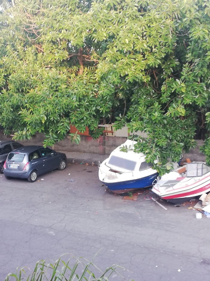 144748176-40f7f57f-e22b-4add-8222-2b4d656dc953