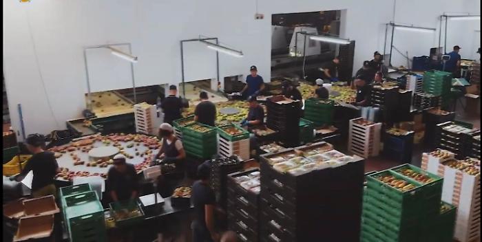 122502062-466a176f-fac6-4973-a3ea-c3c33d943729