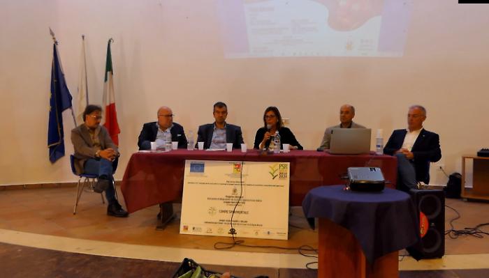 122517707-d1c491a0-ef1a-4ce4-a7eb-64c871802440