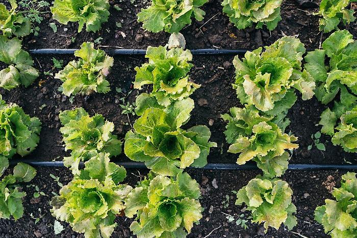 141104079-a0ff6aa2-1148-4948-b23f-f9313c9abf8a