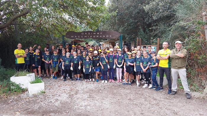 085448137-e6be6b95-7de8-4777-bd6b-8b5cd608ad03