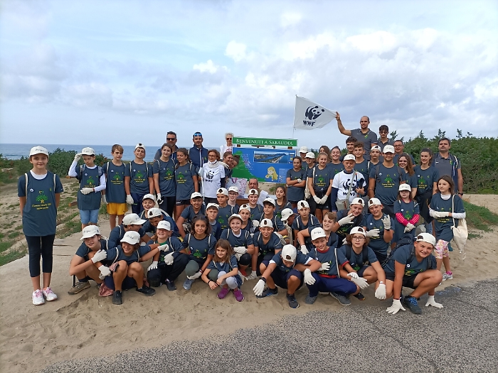 085555371-8124373f-8ab6-49c9-bfda-094a75b5ea4b