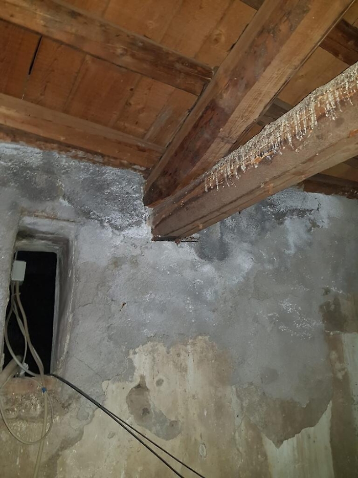 180710363-18e6665d-8bfc-4f5b-be90-b5500c159de4