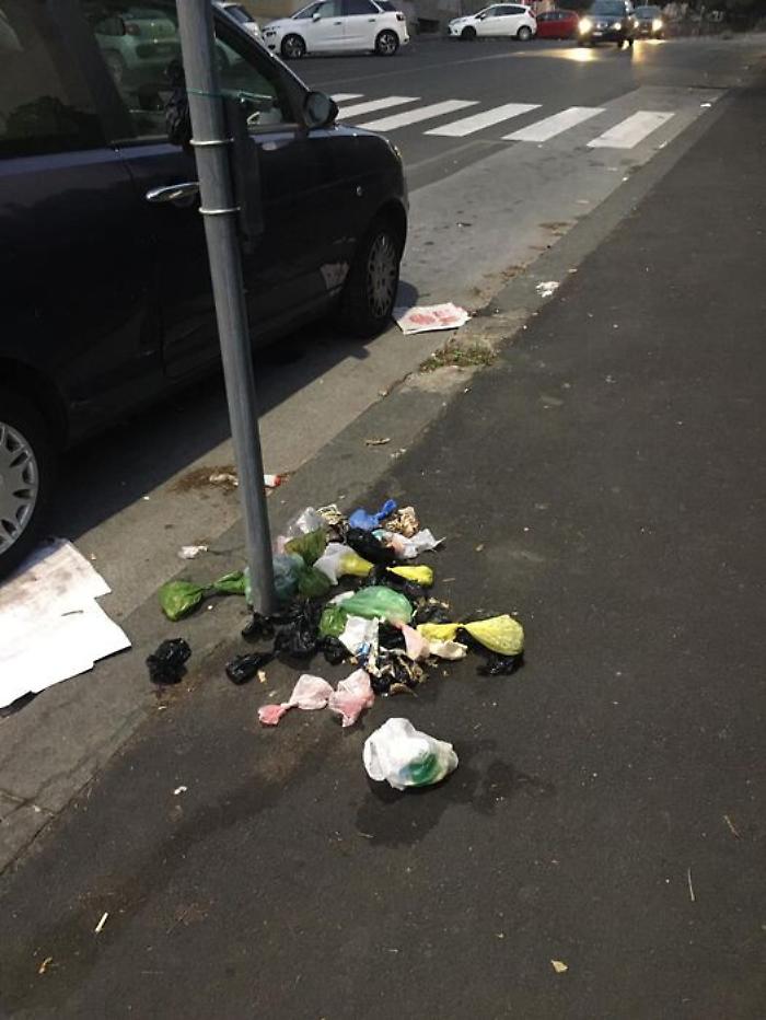 114438757-875477ee-a7c8-450d-a923-1e8cf11fbebf