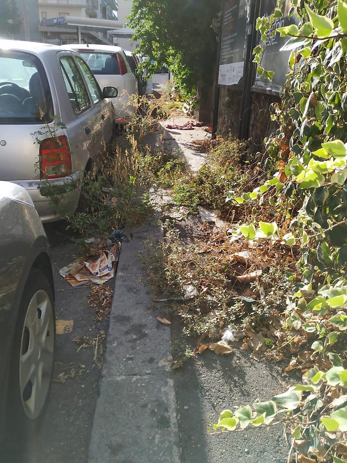 114443980-95527ba7-5b21-4a34-abe6-af70bd912ef1