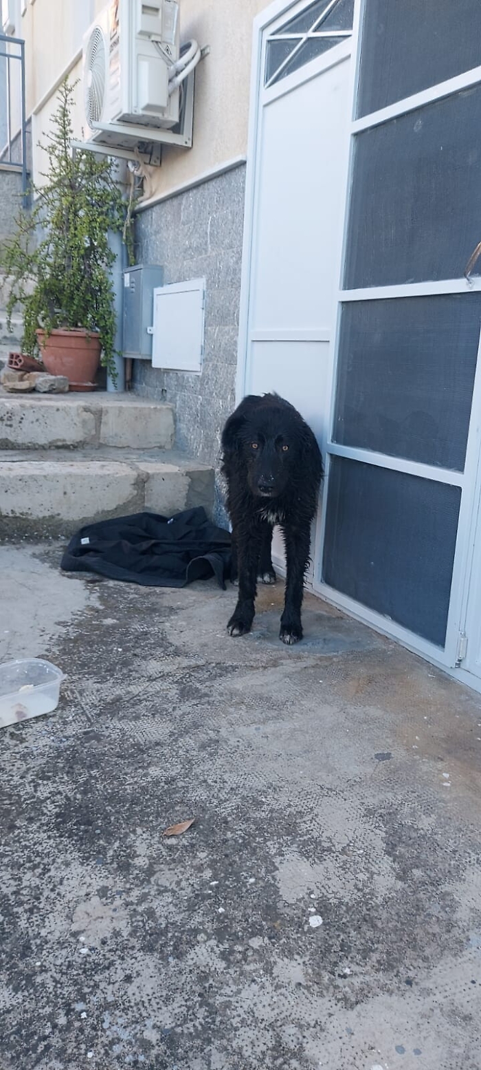 111703248-ba359696-37d2-4f46-a9b2-073a2e1135e4