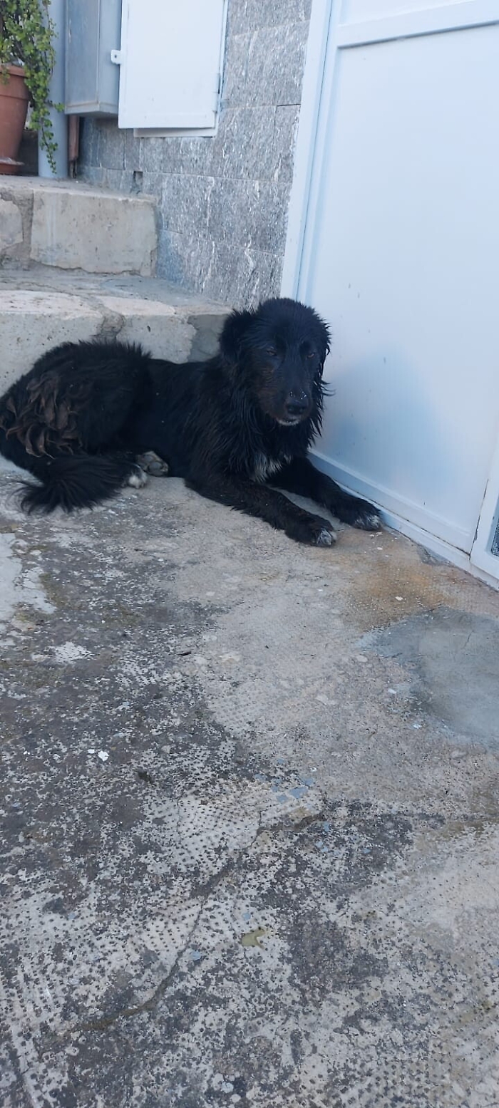 111703355-baa92c32-b176-4235-bf90-5c006d431d94