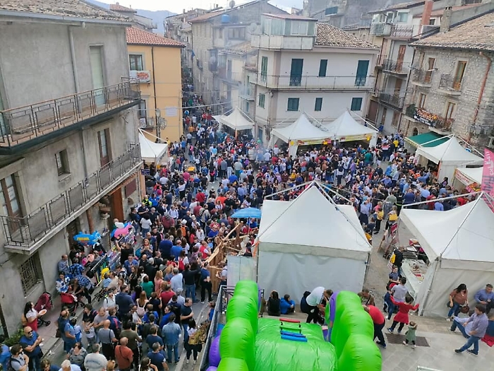 152214167-d473d640-5607-4afd-96be-db2e68899405