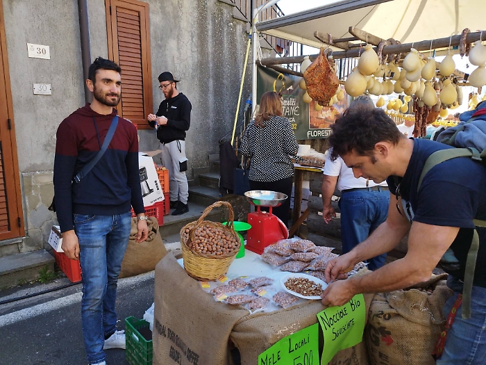 152232692-b4e1fb5c-2544-48e1-94a2-edd64b9397eb