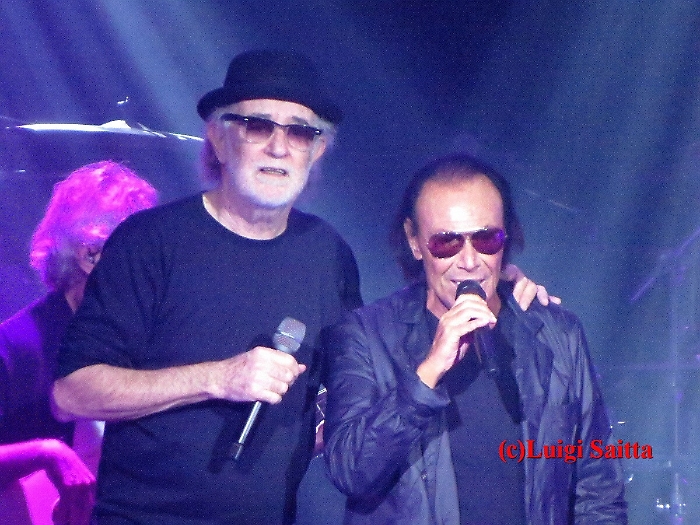 181659725-549343b2-48cf-4c75-b69b-aed5c698d063