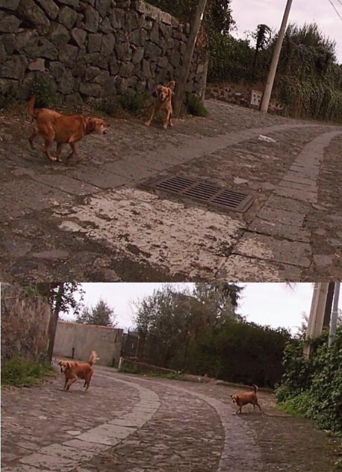 171334779-b6b90aee-f402-4aa0-ae82-0bff32f8b3c9