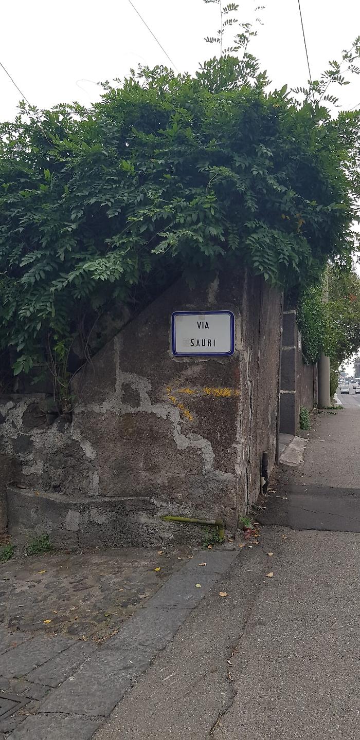 171336744-f80859bd-bba8-4008-8df9-0567e0840fbe