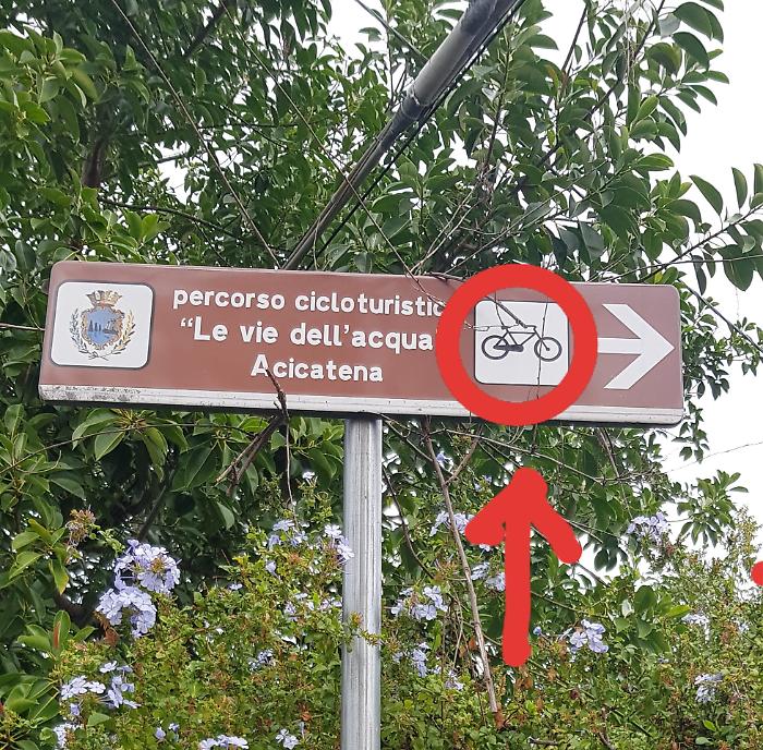 171338116-1581338b-490f-49c0-80d8-e7e9f9825822