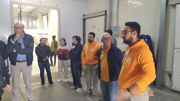 141306713-8634093d-2c5b-4277-ba41-3dc3437520bb