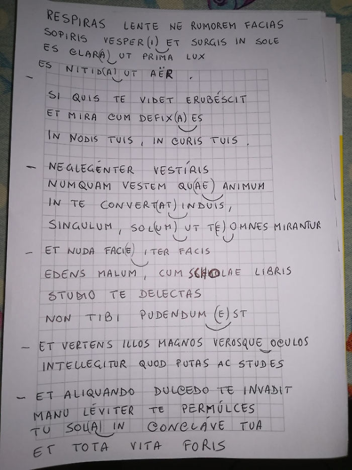 162832120-104439a4-b0d8-4d09-9214-d72060d76b5c