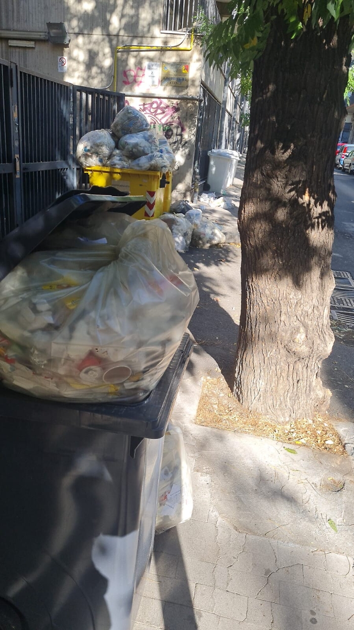 164555107-f97dc04e-3b54-4b3b-803e-d160700addc5