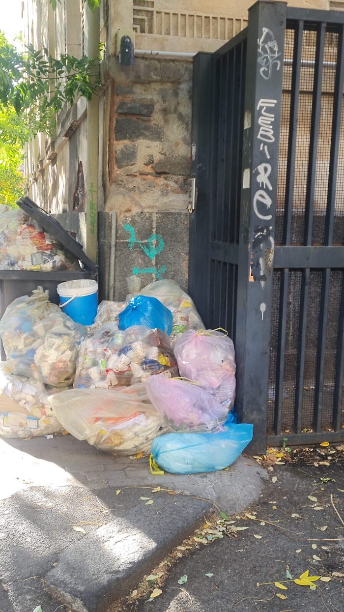 164555203-9825c587-cddf-4916-9e08-9d5d821187d2