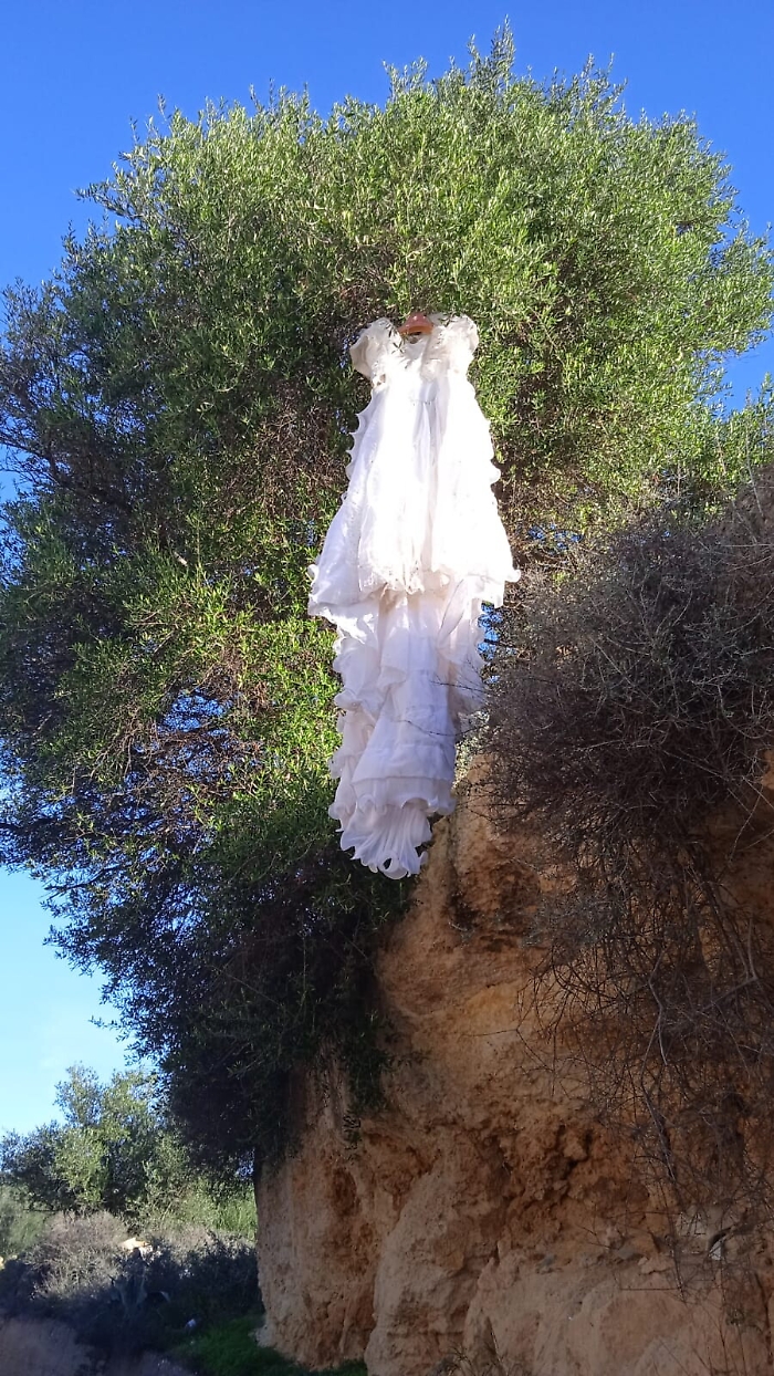 163856356-de6dba08-549a-4525-8584-669103e3ce29