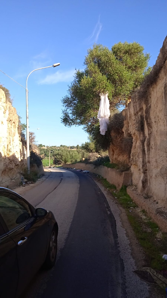 163924849-171c8908-40d2-44a9-bebc-6c57b8ddc53f