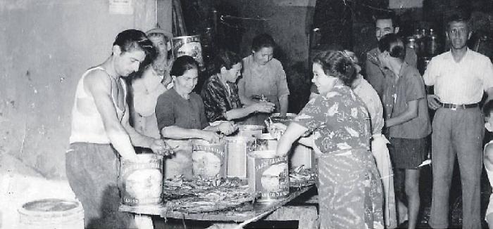 095500205-8447990e-4b00-4220-b90a-9f69abc4d68e