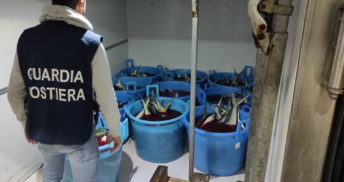 115830925-275911b8-d03c-453c-8b40-f9a35d8b0ef2