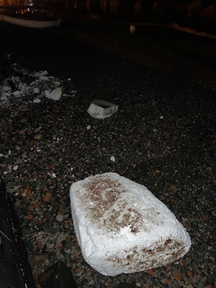 162220217-46a46832-98e0-4056-b5af-e42301a4121b