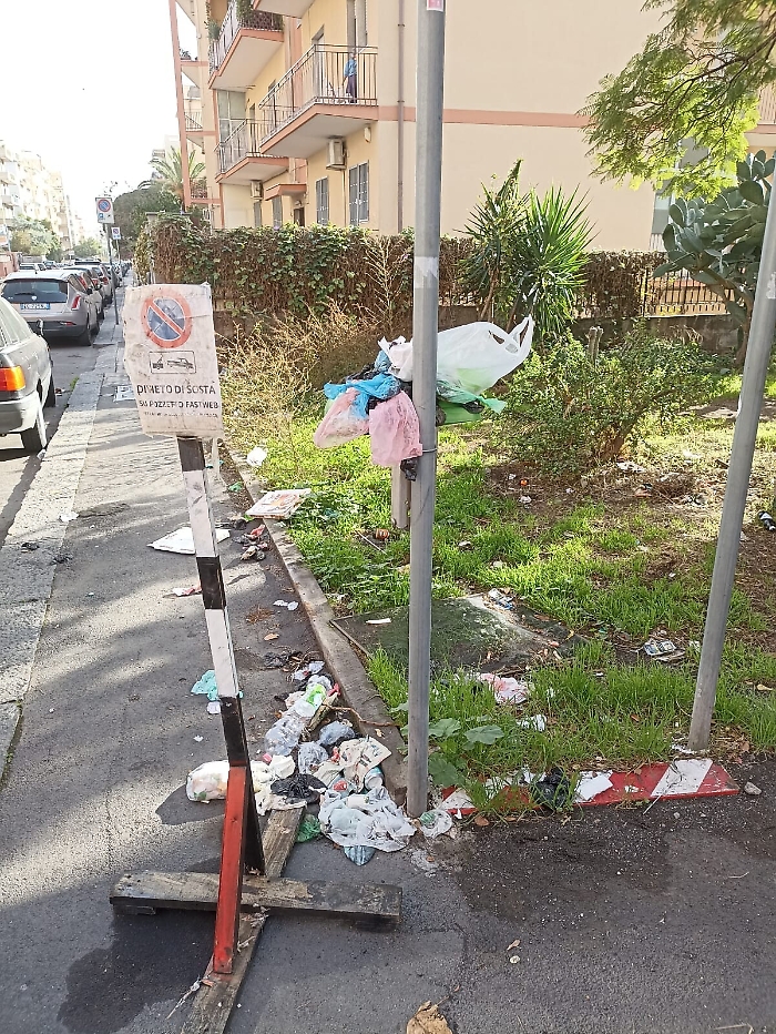 112332186-ec90298c-e168-4b13-9512-acc0cc35c5bd