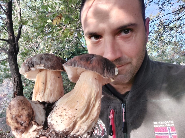 174532690-4c510915-69a6-440c-8578-dd69795cce79