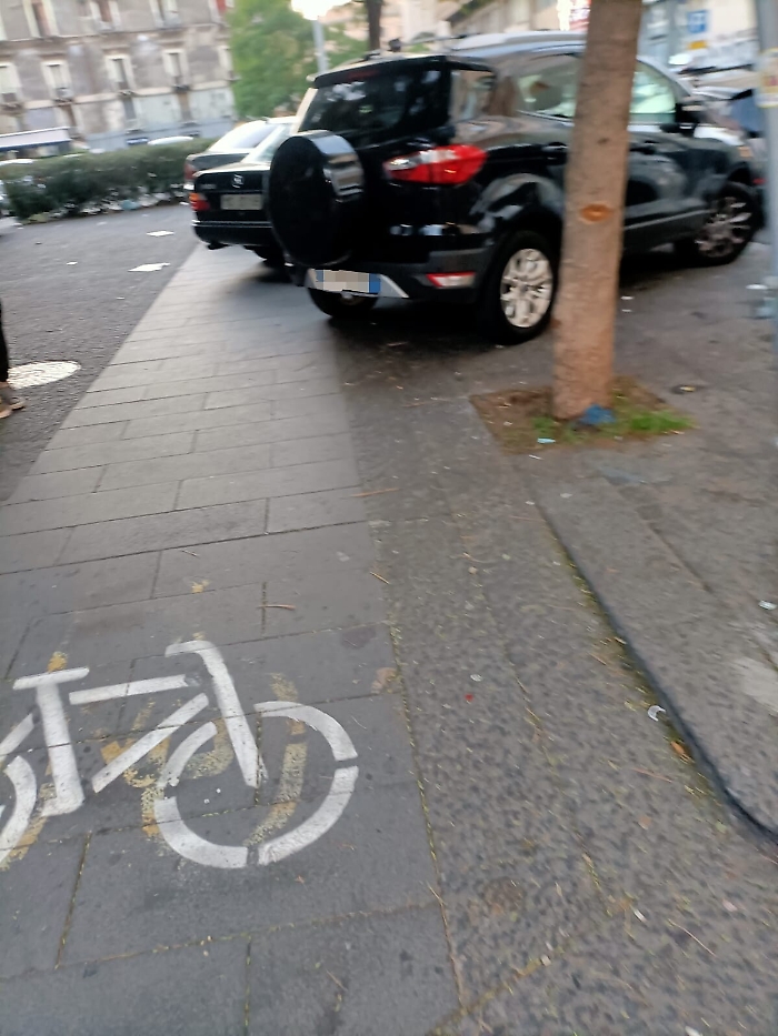 172748658-f2e5172b-7db9-4c13-90b5-a1586bd6d01b