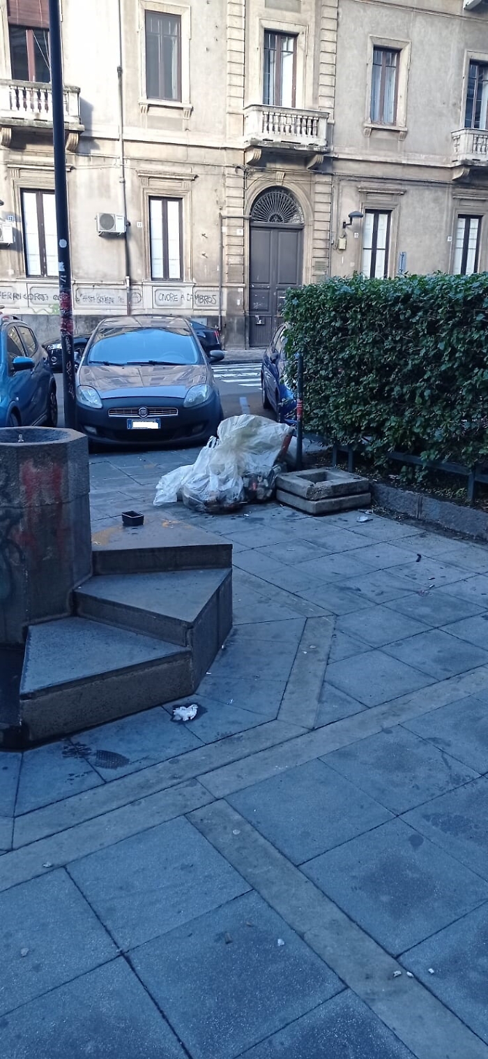 161957033-1d65e53c-817d-480d-bf69-263ee01a286a