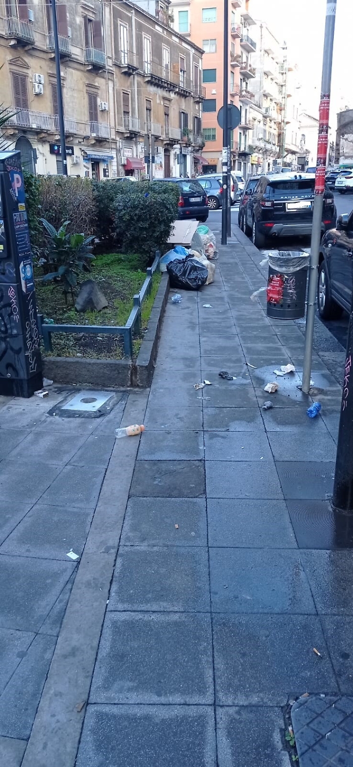 161957858-3869625c-1c1b-4a0e-bd20-deb64fe57925