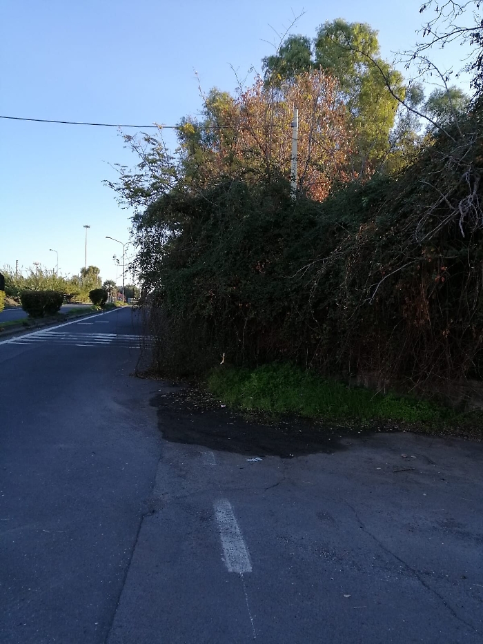 173636355-baee36cf-e903-42d5-888a-b8f04fed52ef