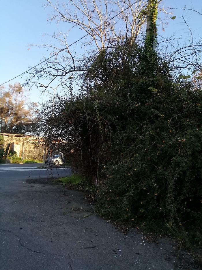 173636446-e78e8e1d-5072-4c00-9c1c-e63d9c931a43