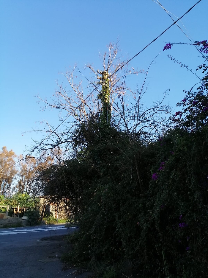 173636487-75105027-34bf-4b32-909d-462f62c5ab5d