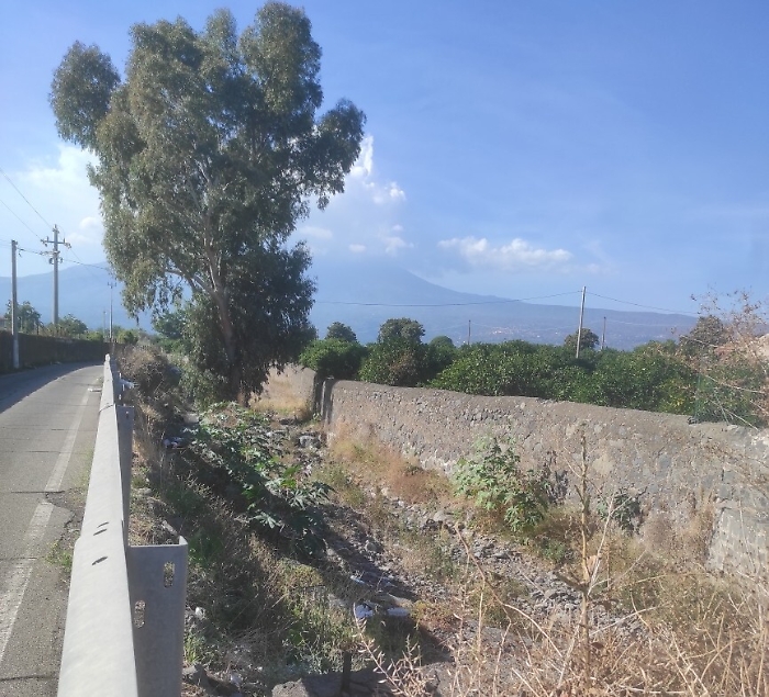 154440808-c5967ecf-cfad-4c04-9d76-0d17f04a5b2f