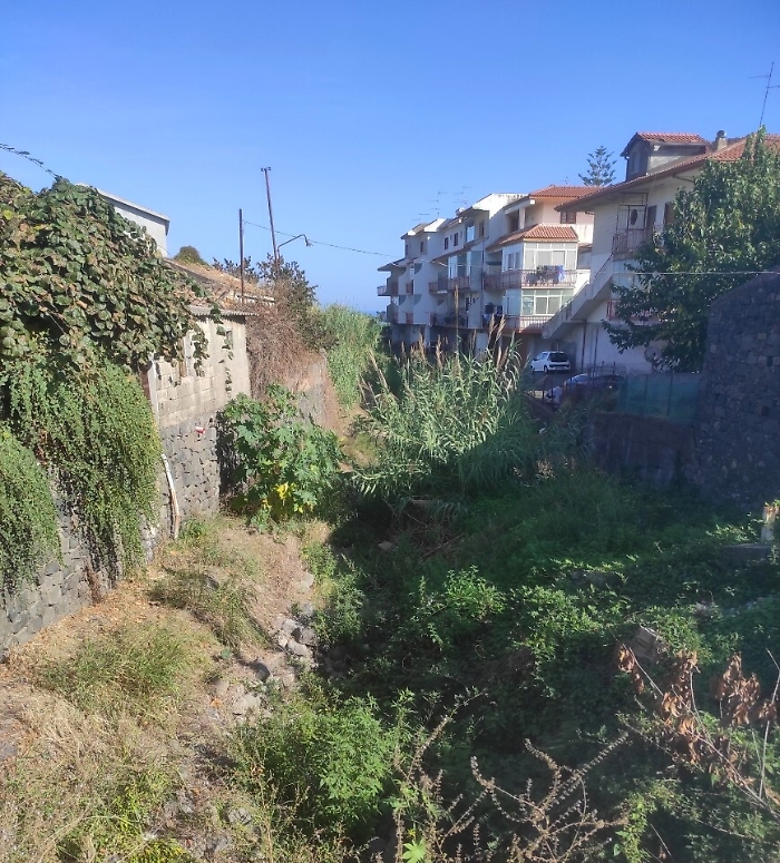 154441397-38a791e4-a98b-412c-a8a0-8ce45e1855d4