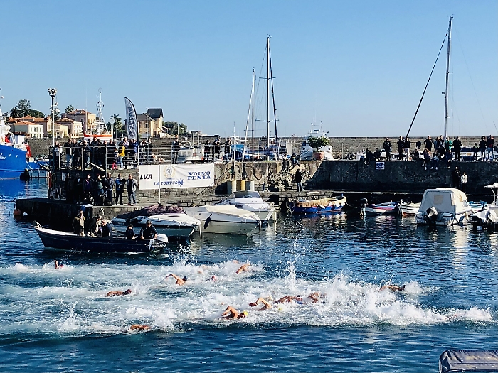 134818161-39644265-8265-4c7d-8907-03c084ae63d1