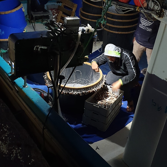 175646161-2c9dcc1b-deab-4508-b3b6-69f8b0100514