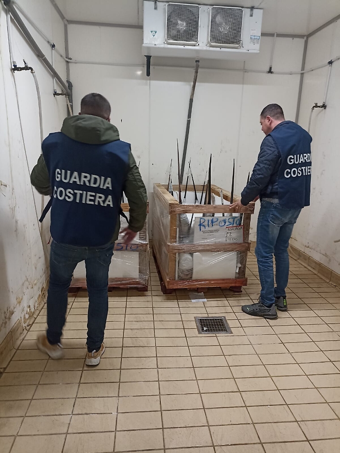 133639175-7d5e2978-c795-43d3-8340-c50c96658864